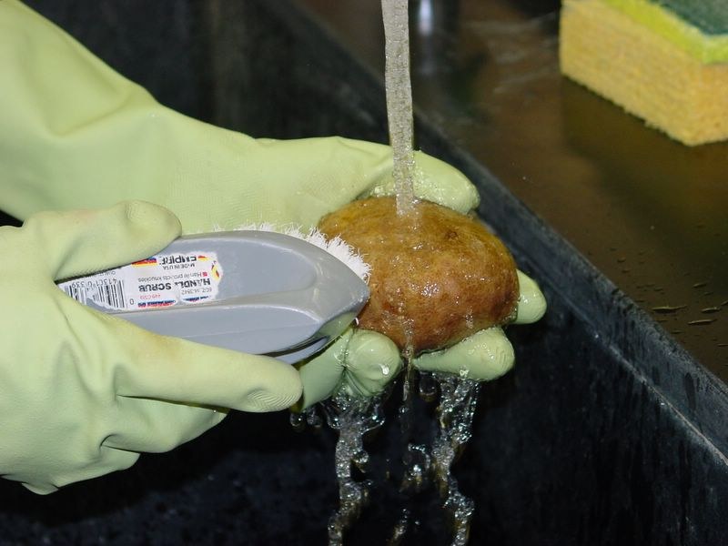 Scrub potatoes clean
