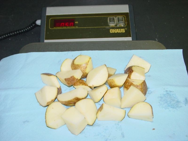 Potato Pieces