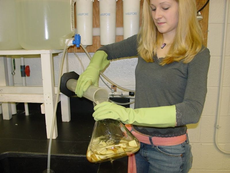 Add one liter of distilled water to the potato flask