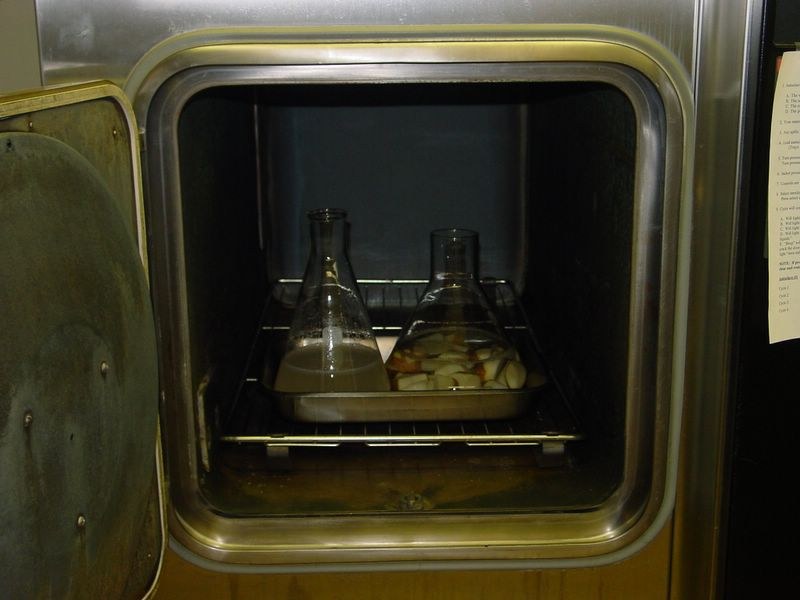Place the OPEN flasks (on a metal pan) in an autoclave. Autoclave on 'steam bypass' for 45 minutes. (Steam bypass - 100 C at 8 pounds pressure)