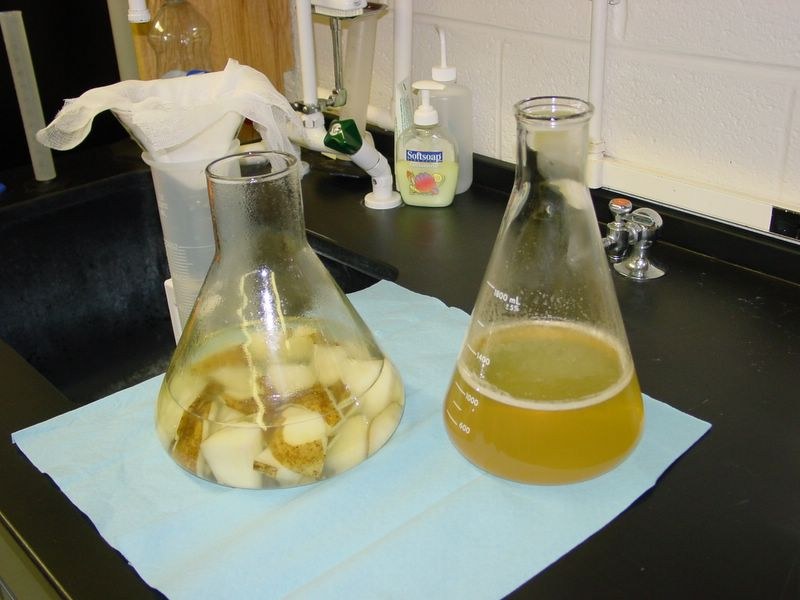 Set up a 1 liter plastic cylinder with glass funnel lined with 2 layers of cheesecloth while potato broth is cooling.
