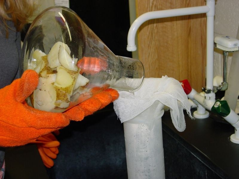 Filter the potato broth by pouring through the cheesecloth into the cylinder.  Add distilled water if needed, to bring the volume in the cylinder to 1 liter.  Add Dextrose and Yeast Extract to the melted Agar and swirl to mix.  Mix filtered potato broth and Agar by pouring back and forth between the flask and the cylinder four times.