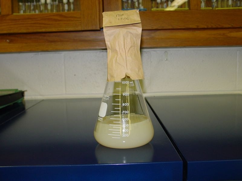 Cover the top of the flask with a small paper bag.