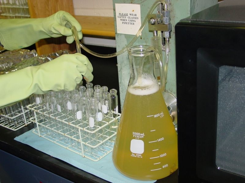 If making test tubes, pipet at once using a pipeter.  Make sure to flush pipeter with hot water when done.