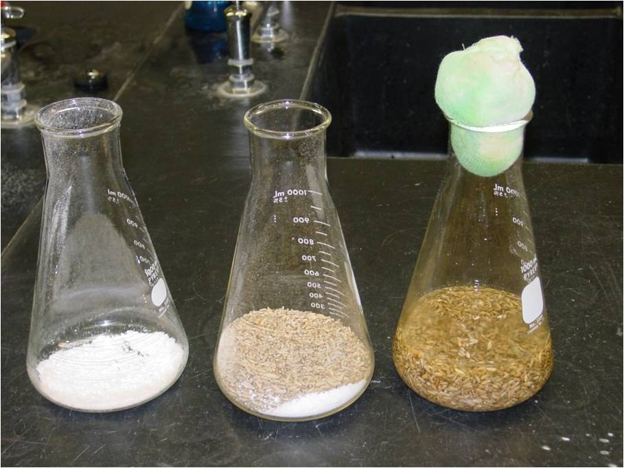 Grain is mixed in a flask with Calcium Carbonate, Calcium Sulfate and water