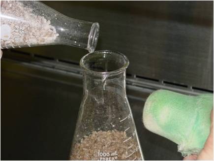 As small batches are fully colonized by the mycelium, they are in turn used to further inoculate larger batches. 