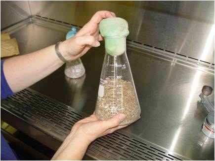 Sealed Inoculated Grain