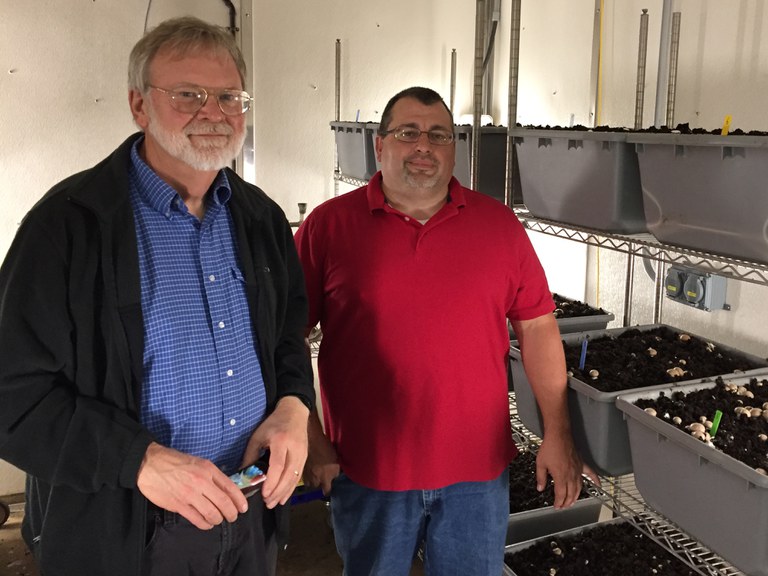 Steven Lindow (left) and John Pecchia tour the Mushroom Research Center at Penn State. (Image: Kevin Hockett)