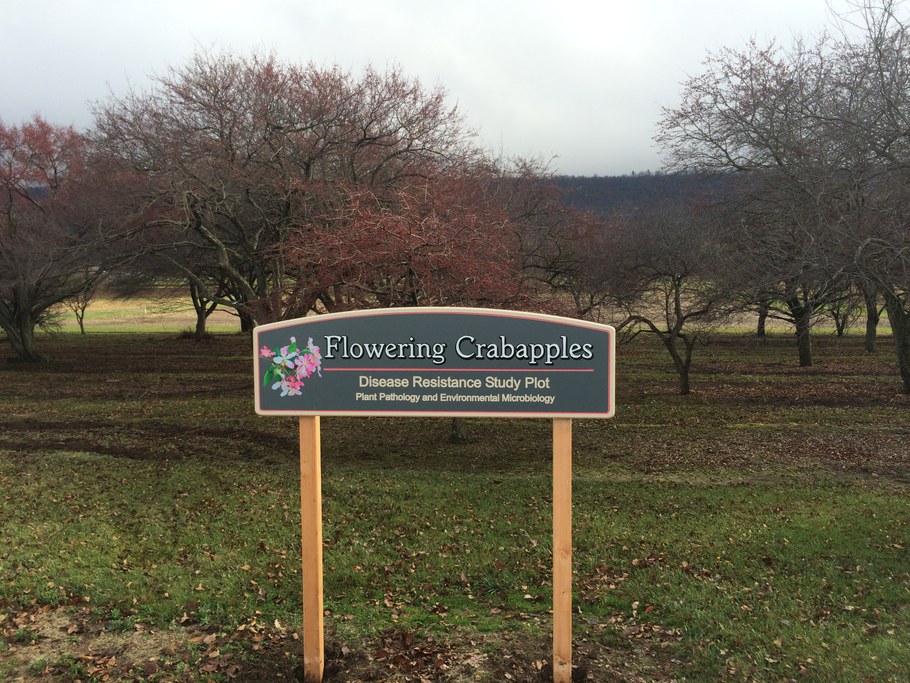Sign donated by Dr. Elwin Stewart. Photo courtesy of Randy Dreibelbis.