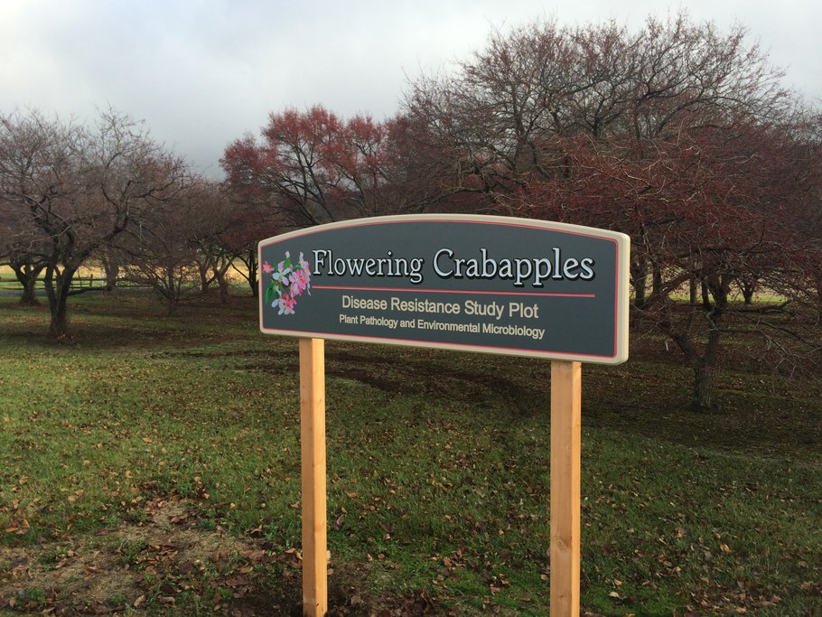 Sign donated by Dr. Elwin Stewart. Photo courtesy of Randy Dreibelbis.