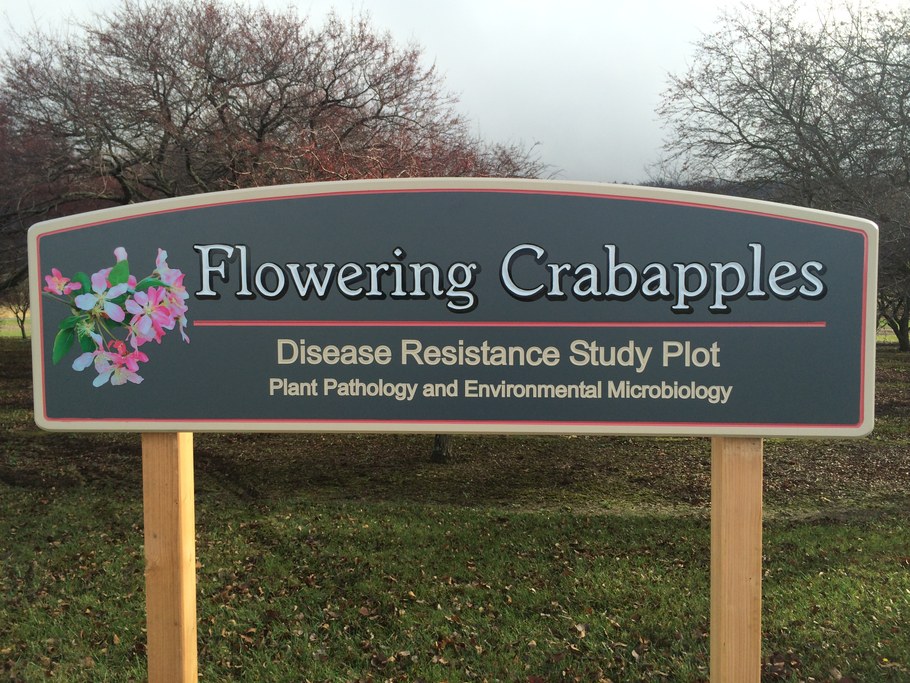 Sign donated by Dr. Elwin Stewart. Photo courtesy of Randy Dreibelbis.