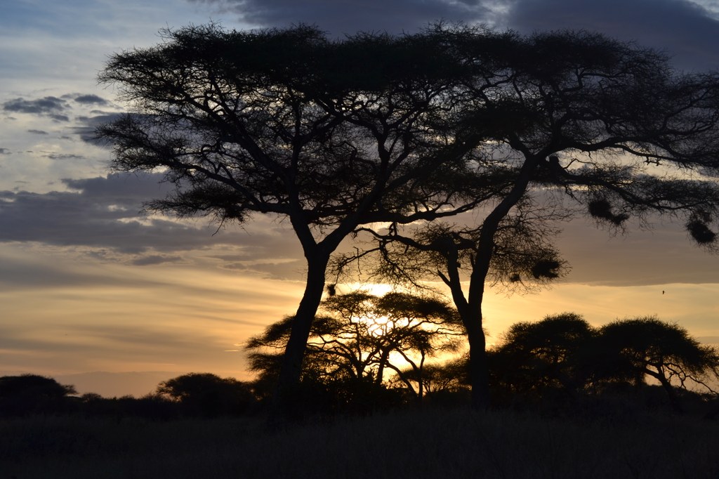 Sunset at the end of one of our afternoon walks. Photo courtesy of Donald D. Davis.