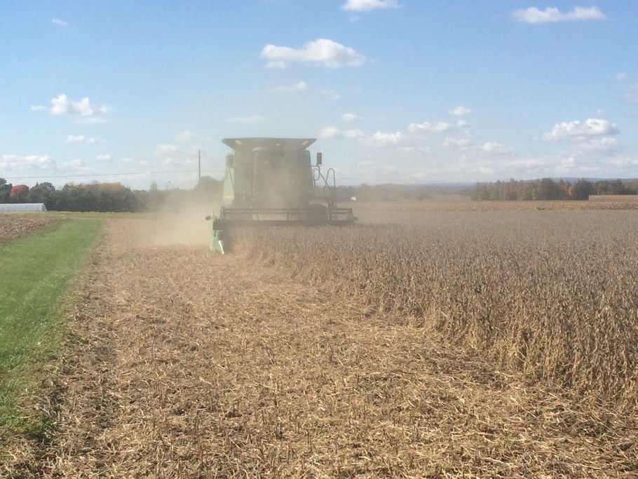 Soybean harvesting. Photo courtesy of Randy Dreibelbis.