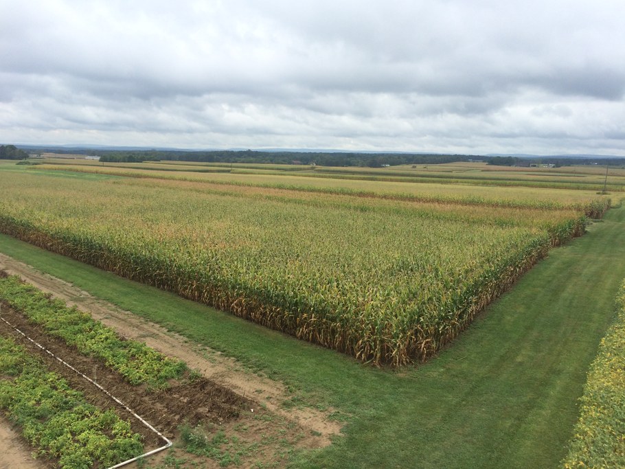 Farm fields. Photo courtesy of Randy Dreibelbis.