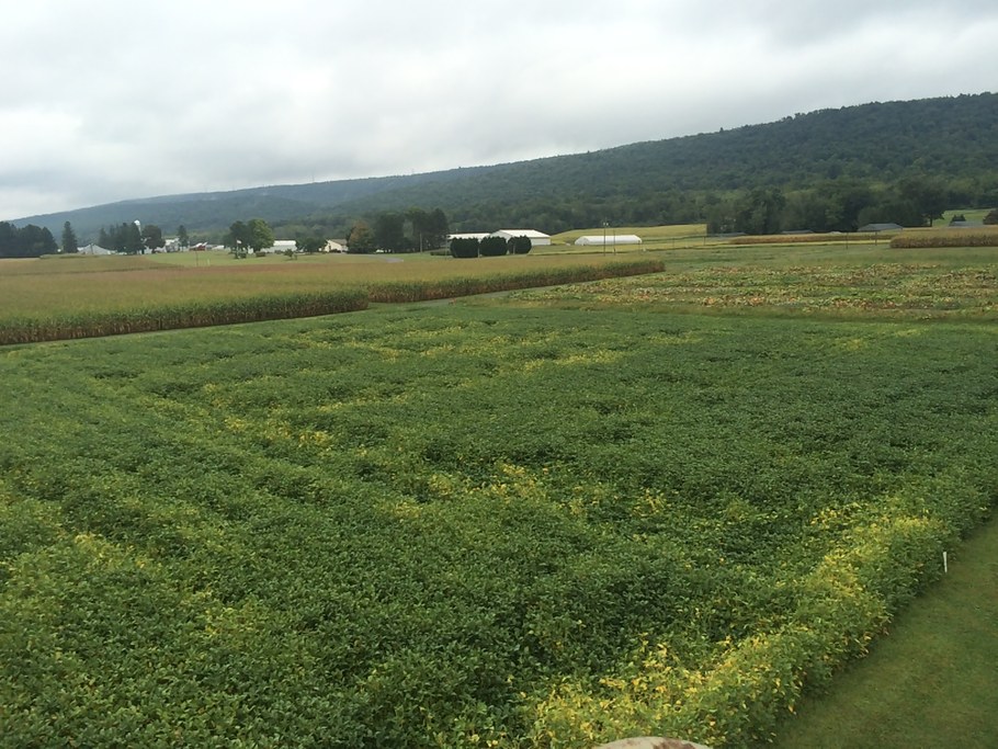 Farm fields. Photo courtesy of Randy Dreibelbis.