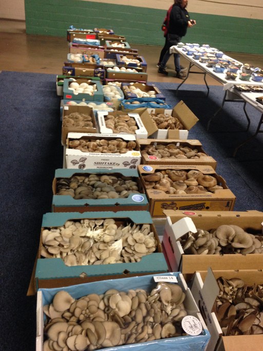 2016 PA Farm Show Mushroom Booth