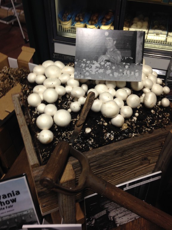 2016 PA Farm Show Mushroom Booth