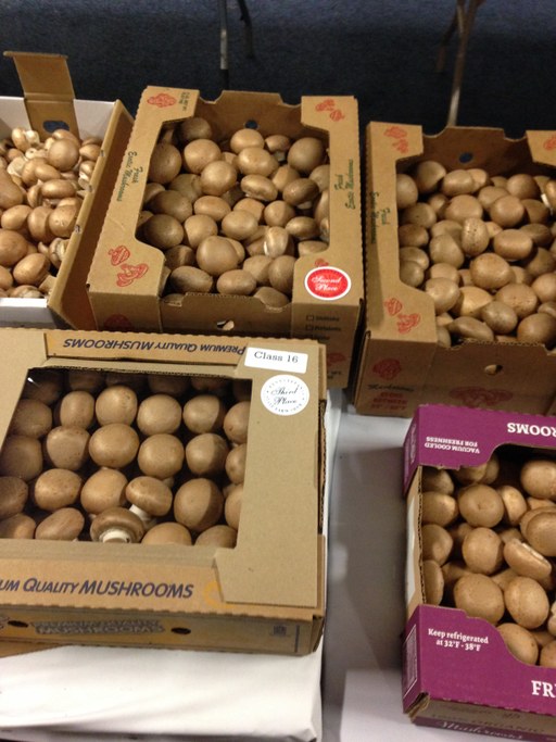 2016 PA Farm Show Mushroom Booth