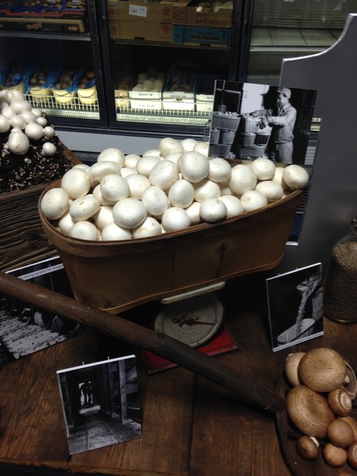 2016 PA Farm Show Mushroom Booth