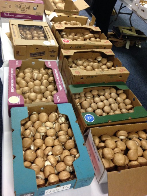 2016 PA Farm Show Mushroom Booth