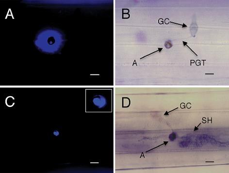 2016 Uddin Lab Figure 3