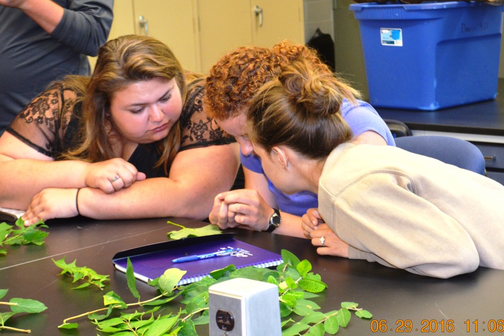 (L-R) SEAREC interns Allyson Balmer and Kate Mobley, SEAREC Research Technologist Sadie Smith | Image: Nancy Wenner, Penn State University