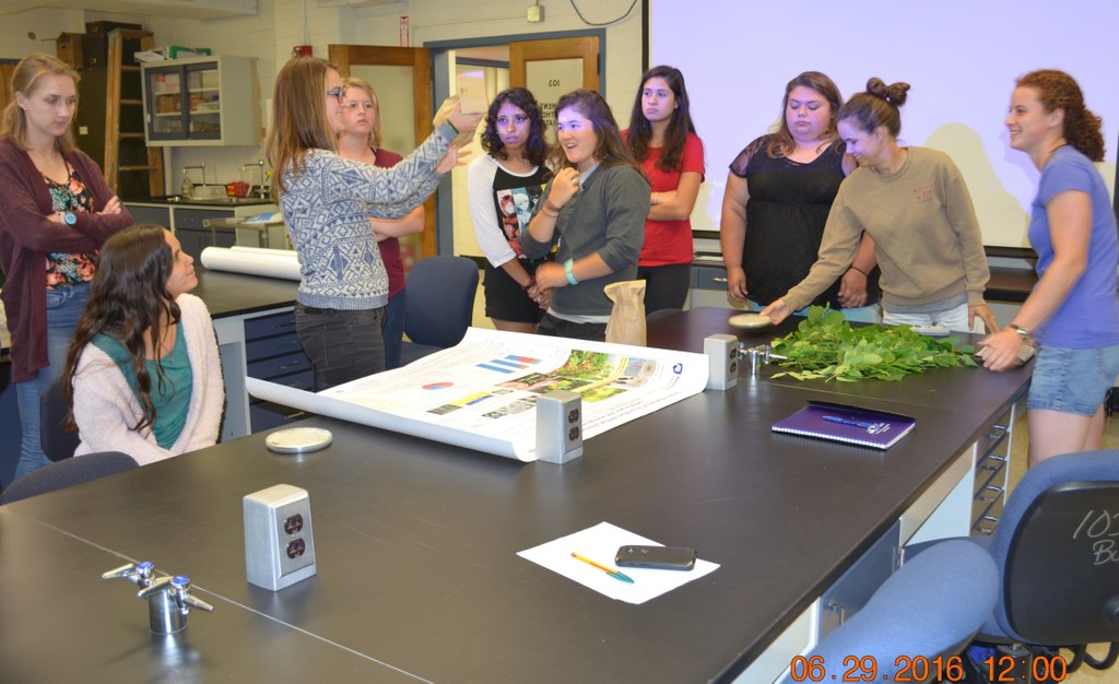 Presenter and Ph.D. student Laura del Sol Bautista Jalón (standing left) | Image: Nancy Wenner, Penn State University
