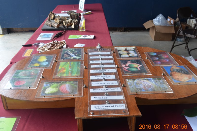 20160817 Ag Progress Days_12