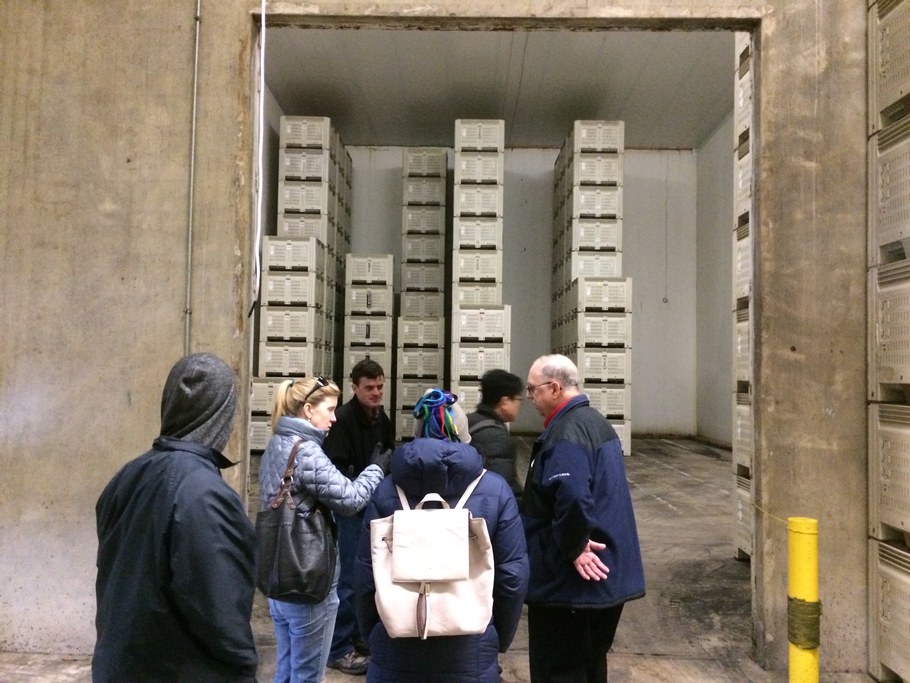 Rice Fruit cold storage for apples arriving directly from the field. (L-R) Justin Shih, Kari Peter, Phillip Martin, Emma Rosenthal, Yongho Jeon, Lee Showalter | Image: Laura del Sol Bautista Jalón, Penn State University