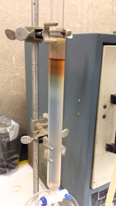 Solvent moving through the flash silica column, allowing compounds in the extract to elute.