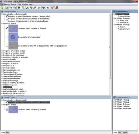 Screenshot of Lucid Builder program