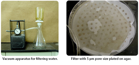 vacuum apparatus for fillerting water and filter with 5um pore size plated on agar