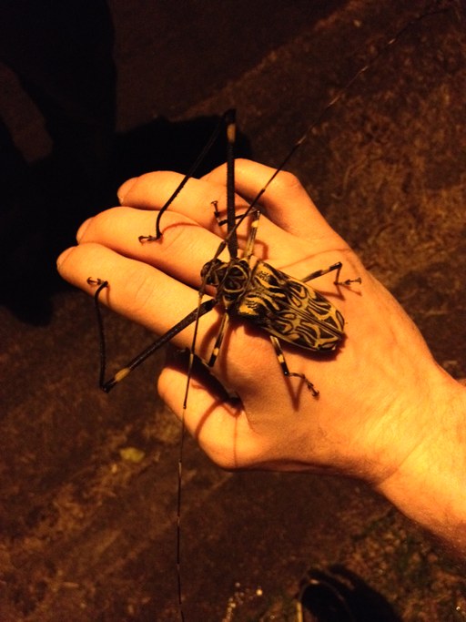 March 2016 INTAD 820 Costa Rica Trip | Image: Joe Walls, Penn State University