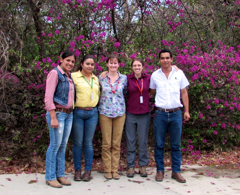 Dr. Beth Gugino and M.S. student Jennie Mazzone (center) with Horticulture Innovation Lab workers (left) and Zamorano Agricultural University student translator (right) in Honduras, March 2016 | Image: Jennie Mazzone, Penn State University