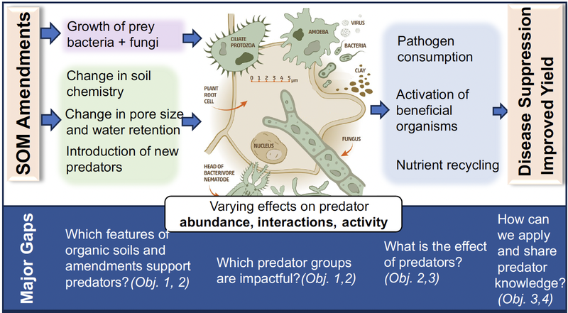 Graphic showing the 