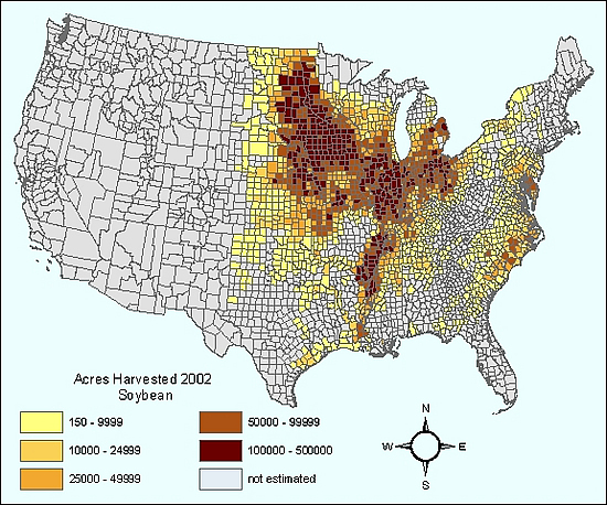 Soybean Production - 2002