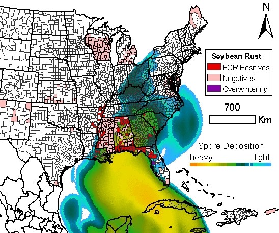 Incursion of Soybean Rust in the United States