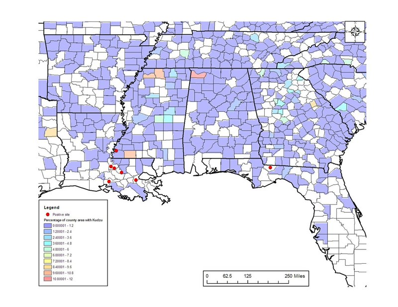 Kudzu Area per County