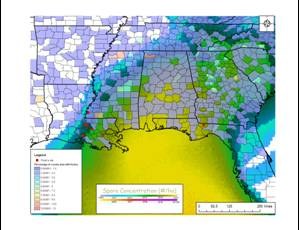 Soybean Rust Spore Deposition and Kudzu Area per County