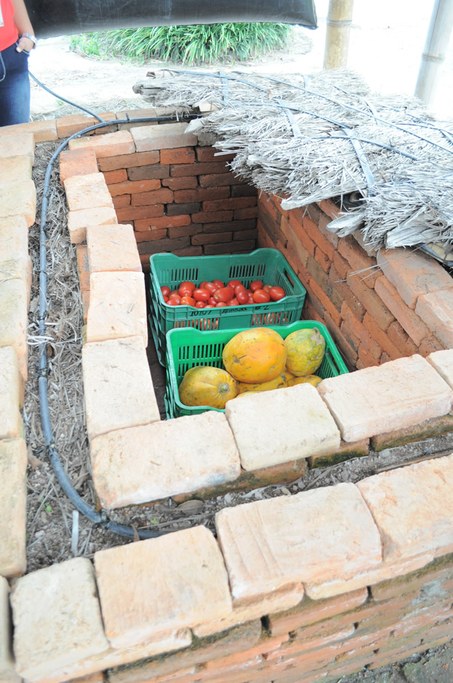 Zamorano University and USAID Horticulture Innovation Lab. April 2016