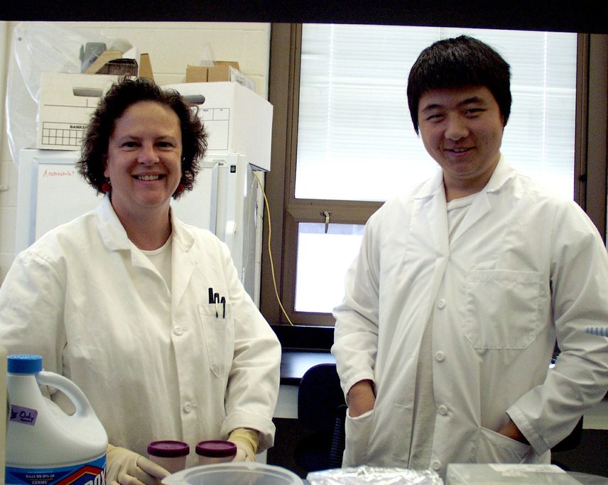 Dr. Gretchen Kuldau & Li Guo prepare to surface sterilize the harvested corn.