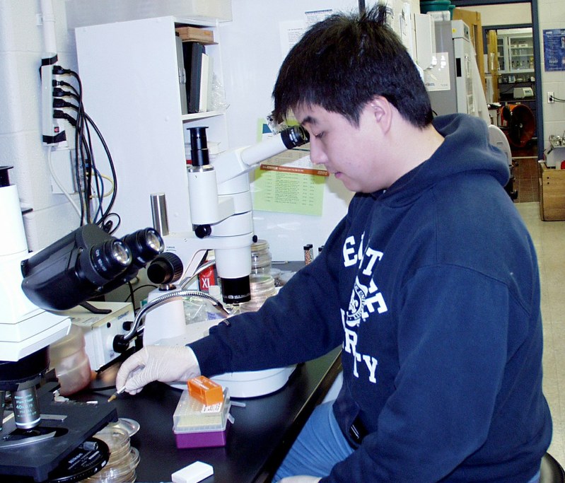Li Guo checks the mycelium under the microscope.