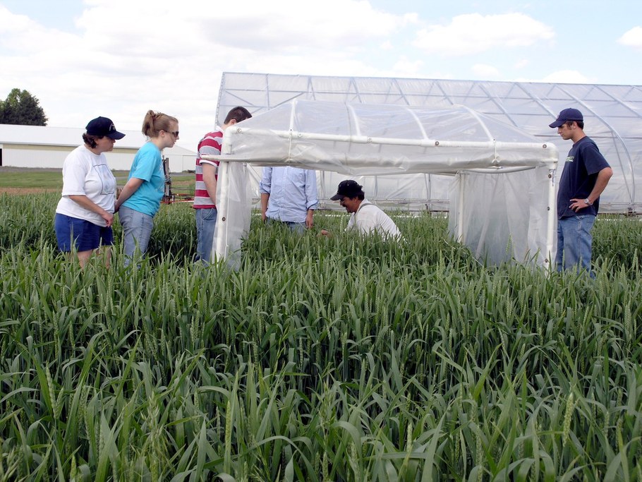 Tim Grove gives a knot-tying lesson to show how the small chambers are tethered to stakes driven into the ground.