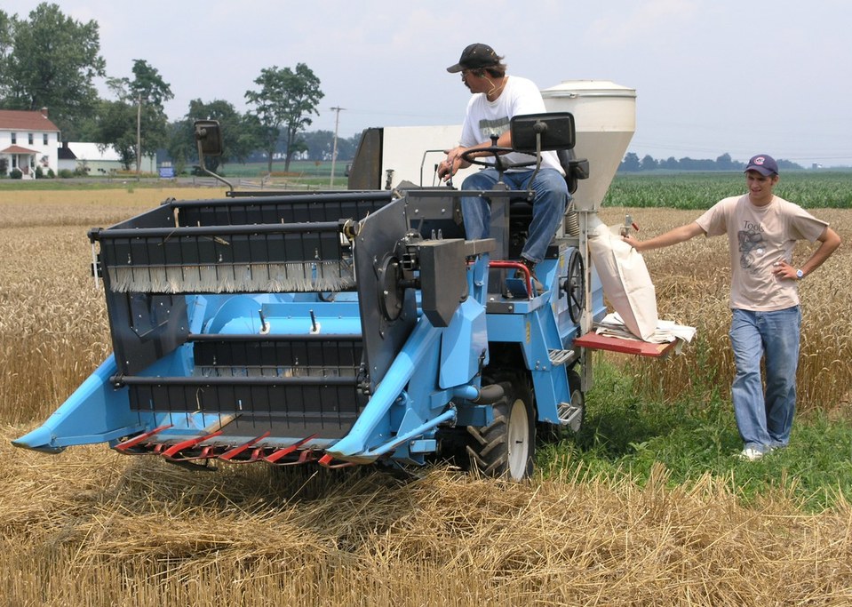 Tim Grove drives the small plot combine, while undergraduate student Adam Blatt collects each plot yield separately. 