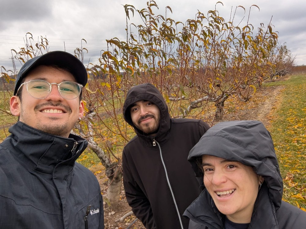 The lab has now two PhD students!