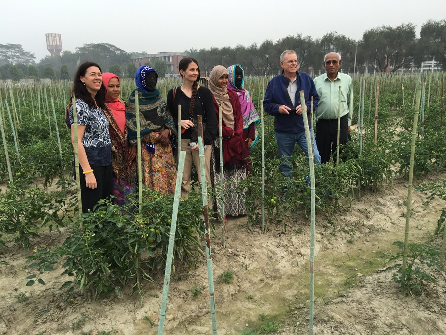 (L-R) in Bangladesh: Dr. Cristina Rosa, two field workers, Dr. Megan O'Rourke, two field workers, and Drs. E.A. Heinrichs (University of Nebraska-Lincoln) and Rangaswamy Muniappan (VA Tech). Image: Cristina Rosa