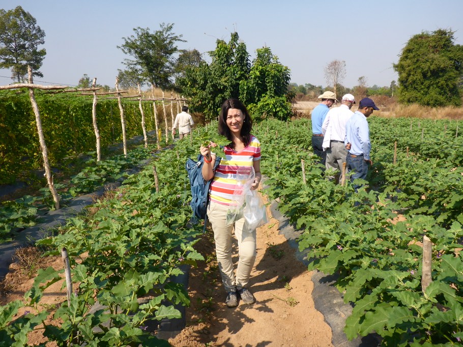 Dr. Cristina Rosa collecting samples in Cambodia. Image: Cristina Rosa